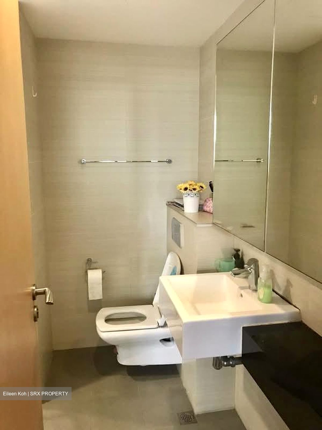 Oasis @ Elias (D18), Condominium #551259021